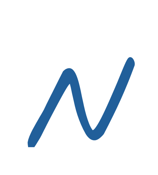 Charles Elie Nicollerat